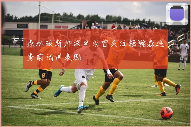 森林狼新帅诺里或曾关注杨瀚森选秀前试训表现
